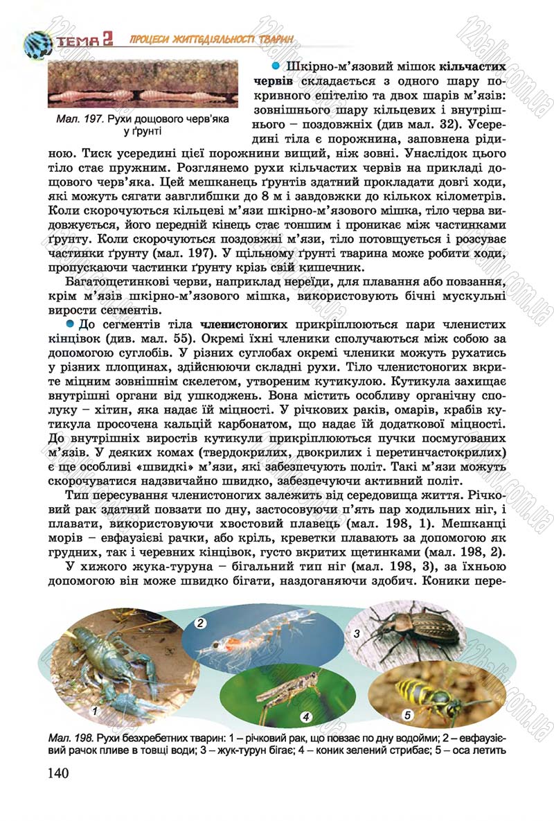 Сторінка 140 - Підручник Біологія 7 клас Остапченко 2015 - скачати онлайн