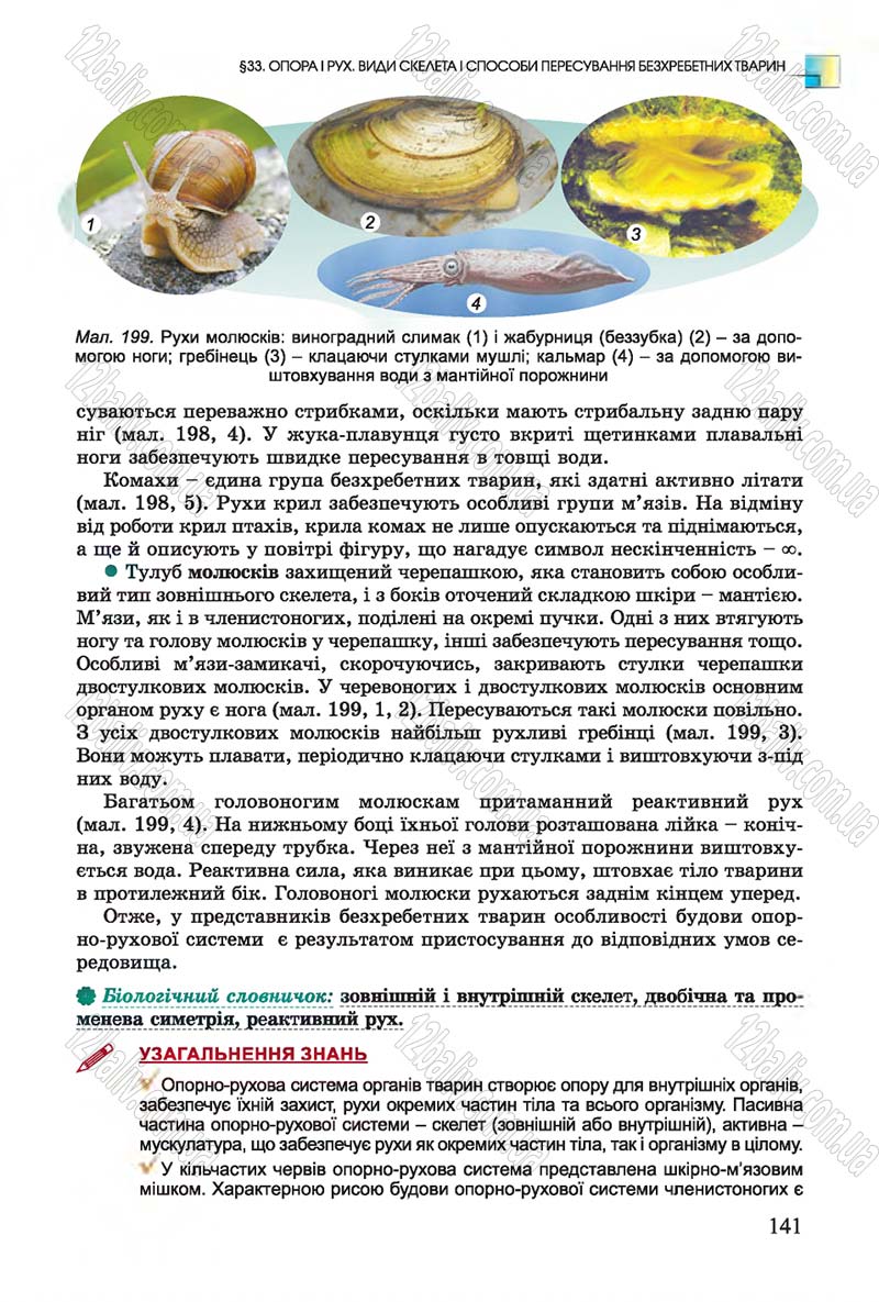 Сторінка 141 - Підручник Біологія 7 клас Остапченко 2015 - скачати онлайн