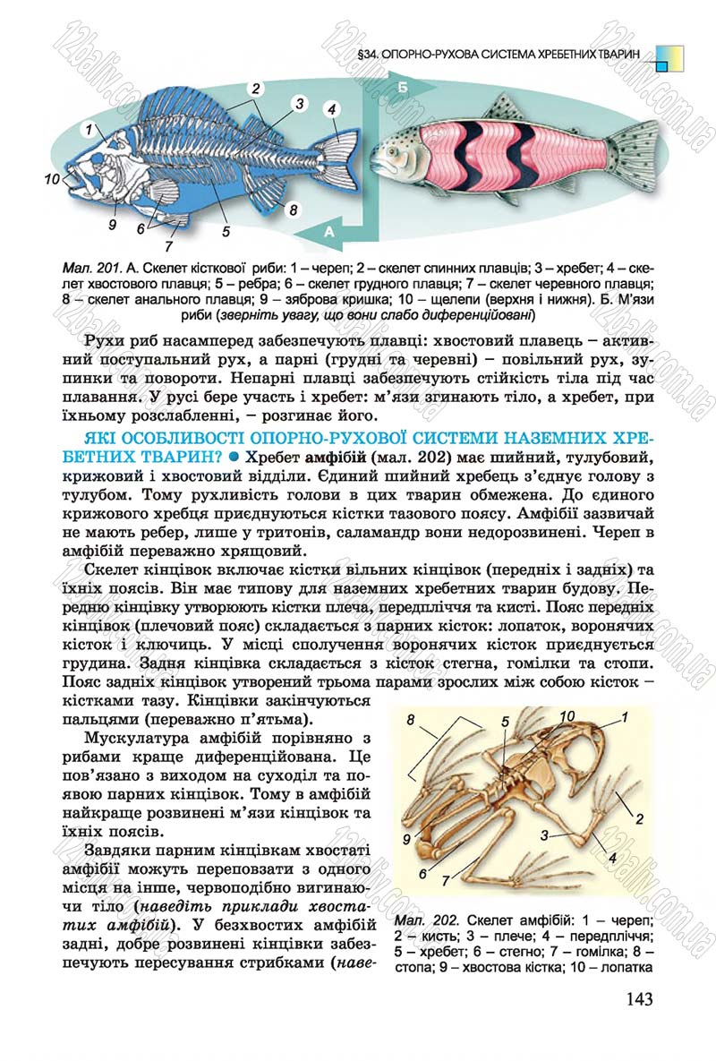 Сторінка 143 - Підручник Біологія 7 клас Остапченко 2015 - скачати онлайн