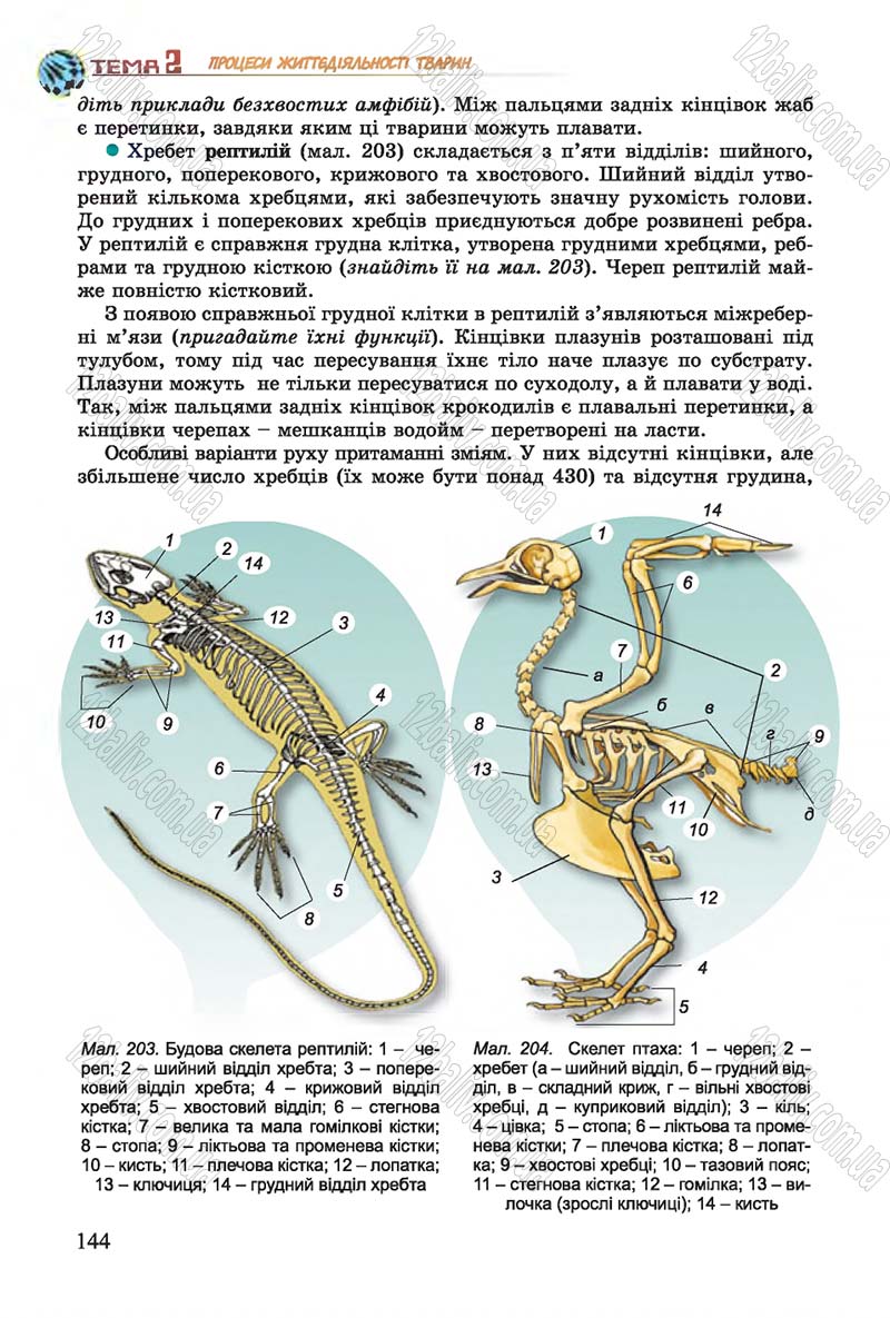 Сторінка 144 - Підручник Біологія 7 клас Остапченко 2015 - скачати онлайн