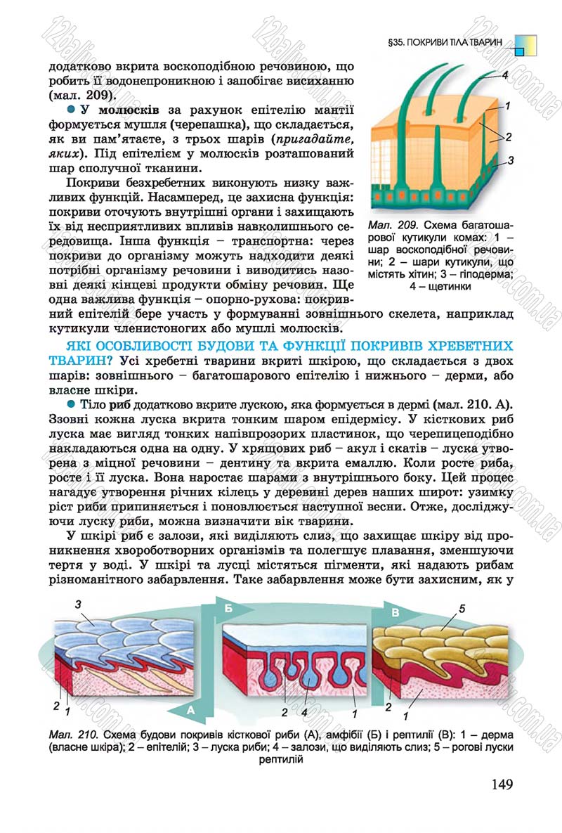 Сторінка 149 - Підручник Біологія 7 клас Остапченко 2015 - скачати онлайн