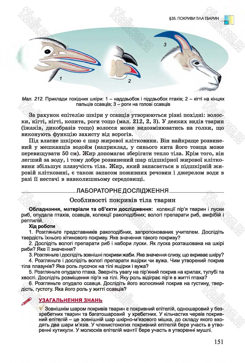 Сторінка 151 - Підручник Біологія 7 клас Остапченко 2015 - скачати онлайн