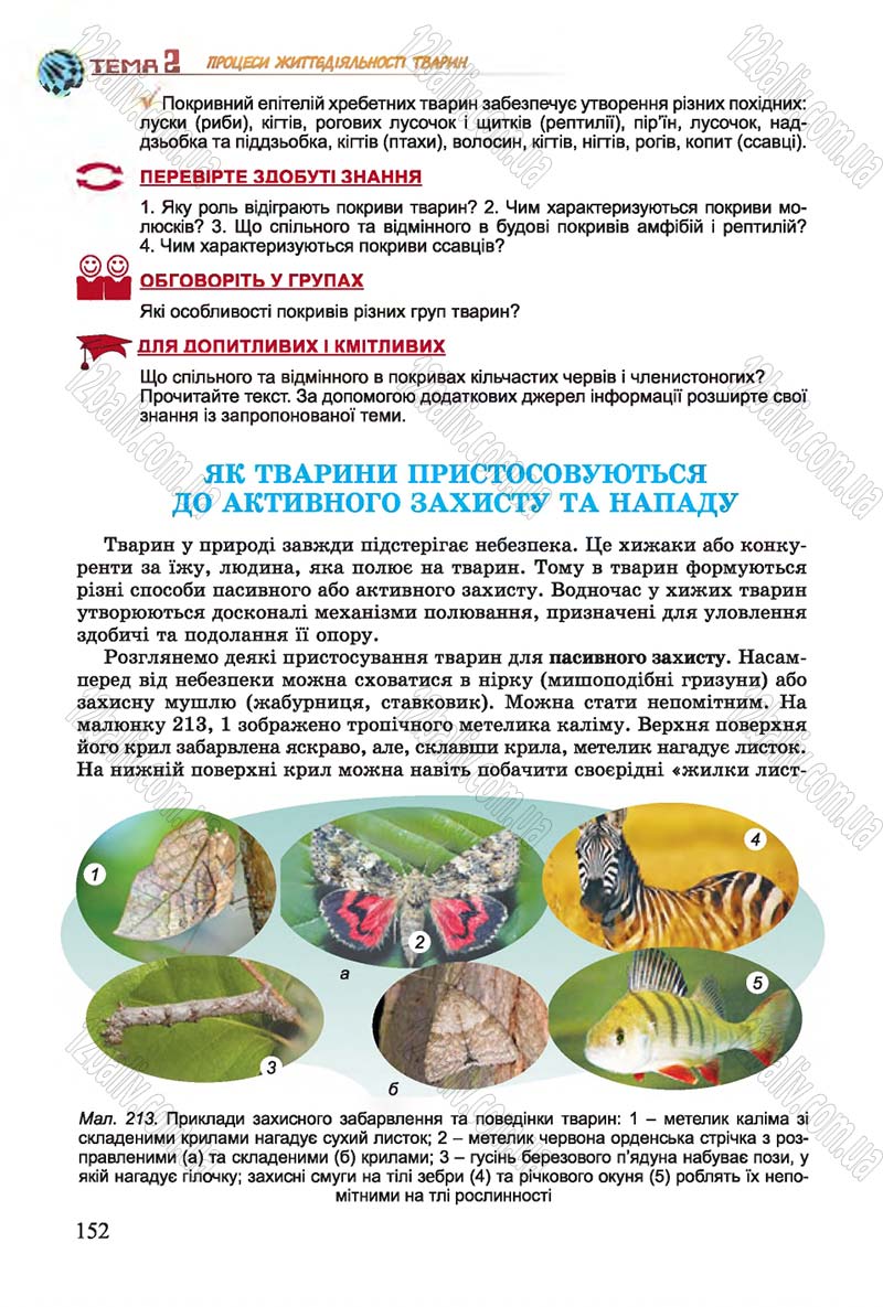 Сторінка 152 - Підручник Біологія 7 клас Остапченко 2015 - скачати онлайн