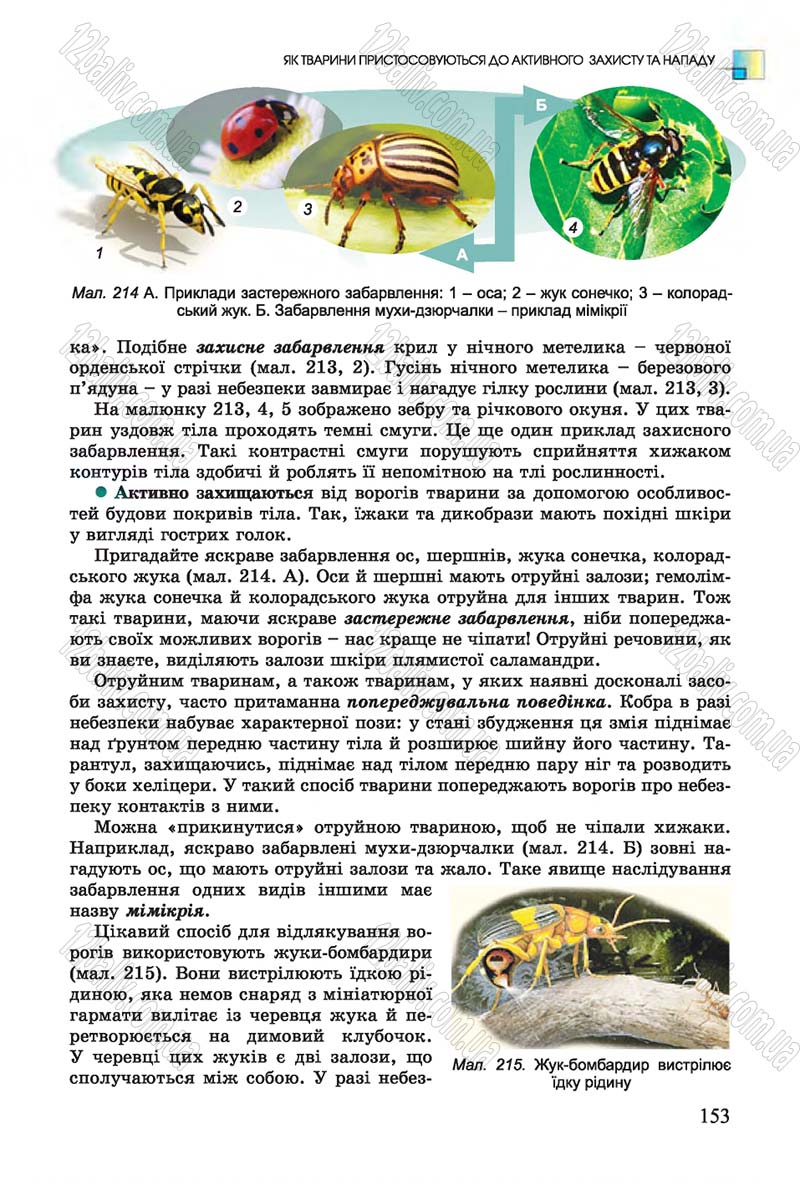 Сторінка 153 - Підручник Біологія 7 клас Остапченко 2015 - скачати онлайн