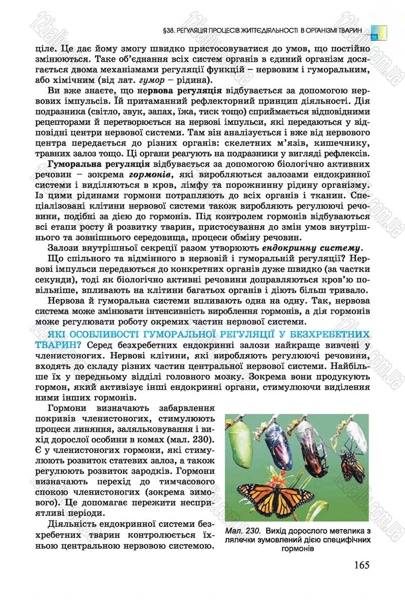 Сторінка 165 - Підручник Біологія 7 клас Остапченко 2015 - скачати онлайн