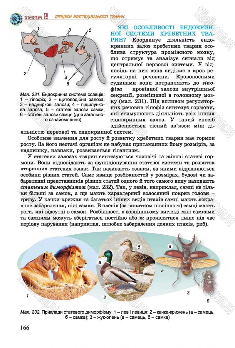 Сторінка 166 - Підручник Біологія 7 клас Остапченко 2015 - скачати онлайн