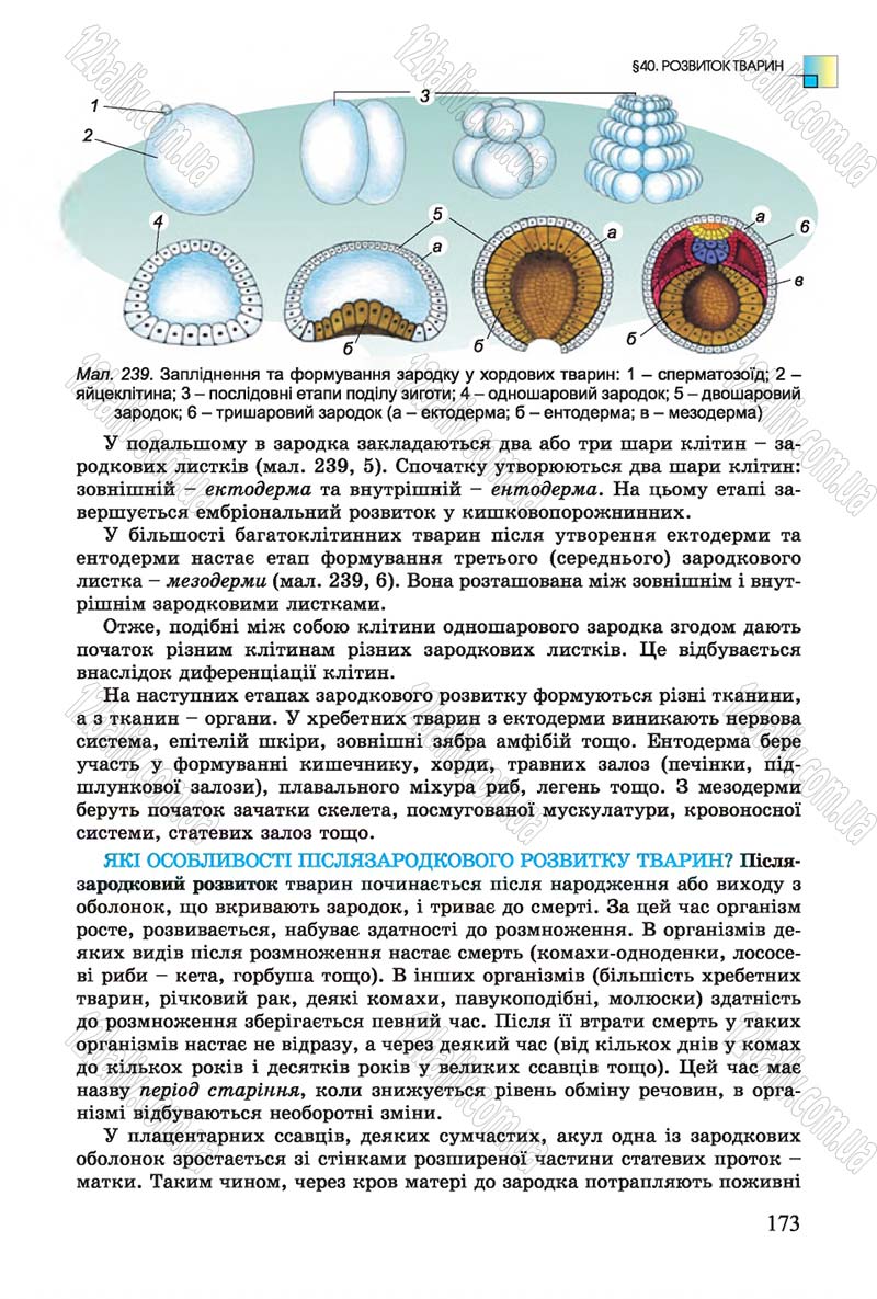 Сторінка 173 - Підручник Біологія 7 клас Остапченко 2015 - скачати онлайн