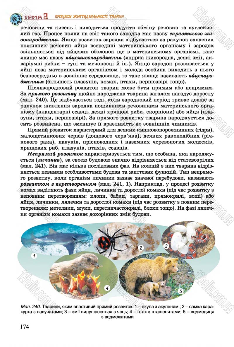 Сторінка 174 - Підручник Біологія 7 клас Остапченко 2015 - скачати онлайн