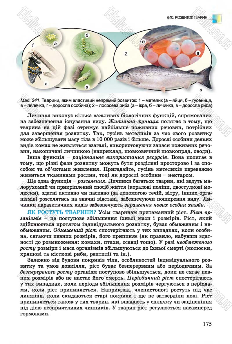 Сторінка 175 - Підручник Біологія 7 клас Остапченко 2015 - скачати онлайн