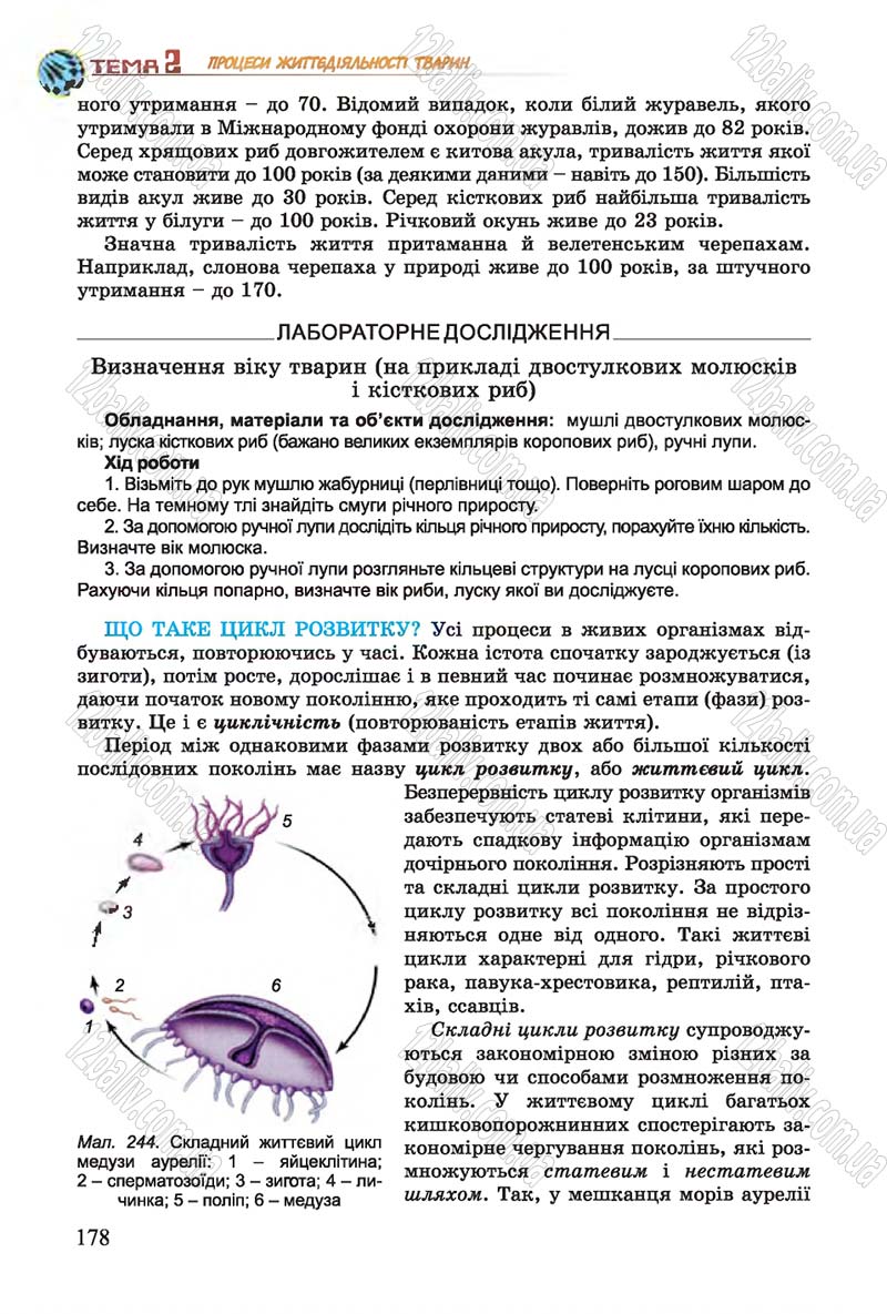 Сторінка 178 - Підручник Біологія 7 клас Остапченко 2015 - скачати онлайн