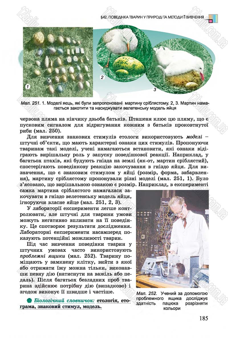 Сторінка 185 - Підручник Біологія 7 клас Остапченко 2015 - скачати онлайн