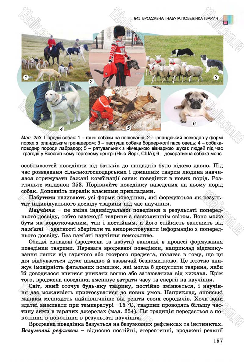 Сторінка 187 - Підручник Біологія 7 клас Остапченко 2015 - скачати онлайн