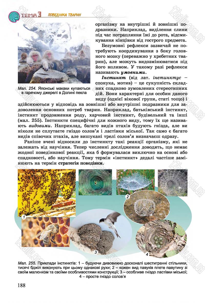 Сторінка 188 - Підручник Біологія 7 клас Остапченко 2015 - скачати онлайн
