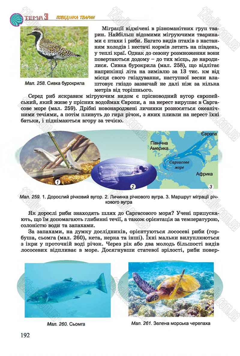 Сторінка 192 - Підручник Біологія 7 клас Остапченко 2015 - скачати онлайн