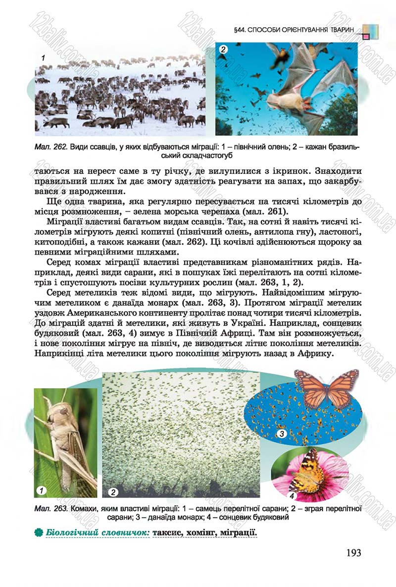 Сторінка 193 - Підручник Біологія 7 клас Остапченко 2015 - скачати онлайн