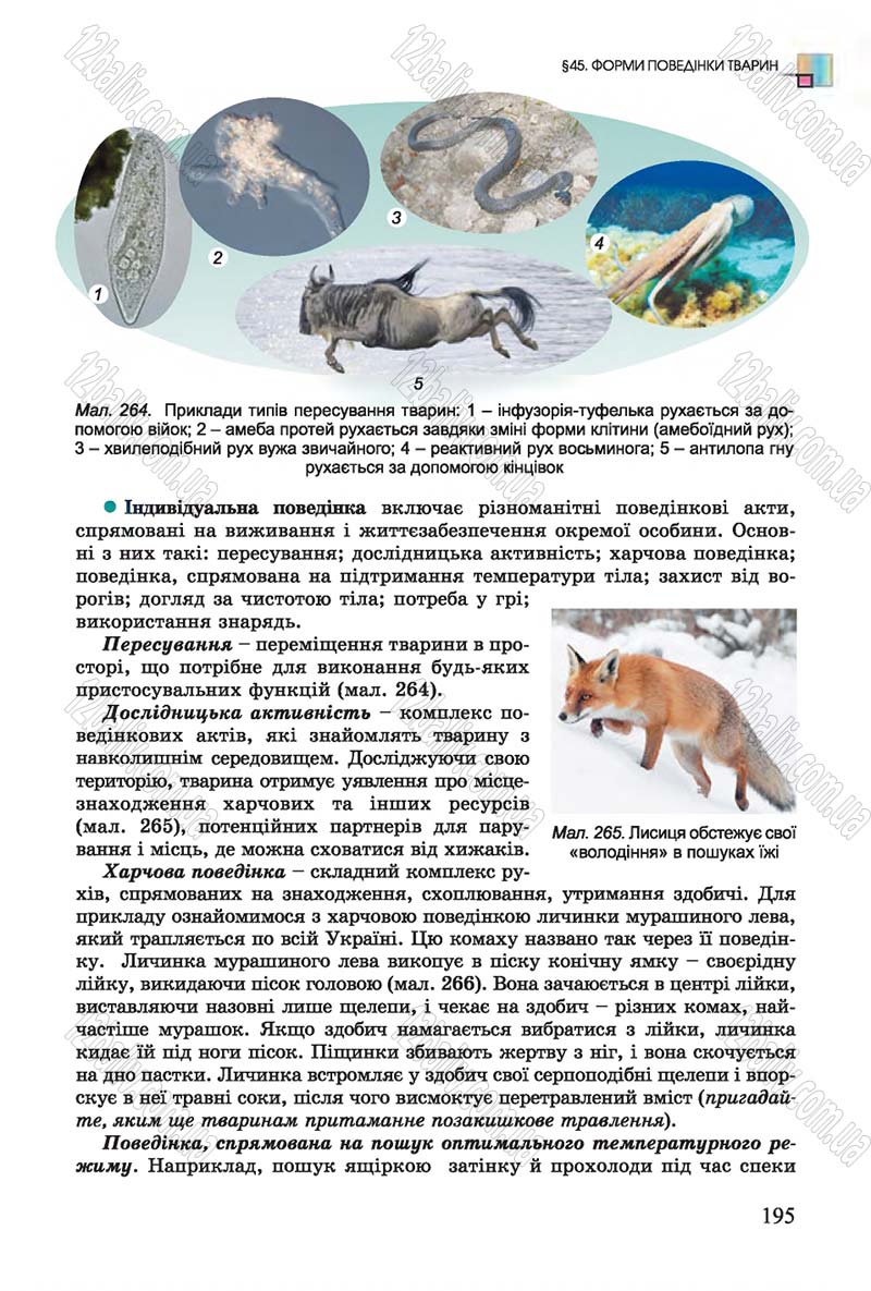 Сторінка 195 - Підручник Біологія 7 клас Остапченко 2015 - скачати онлайн