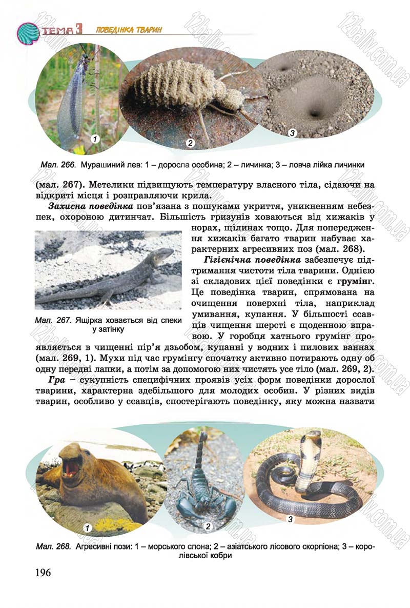 Сторінка 196 - Підручник Біологія 7 клас Остапченко 2015 - скачати онлайн
