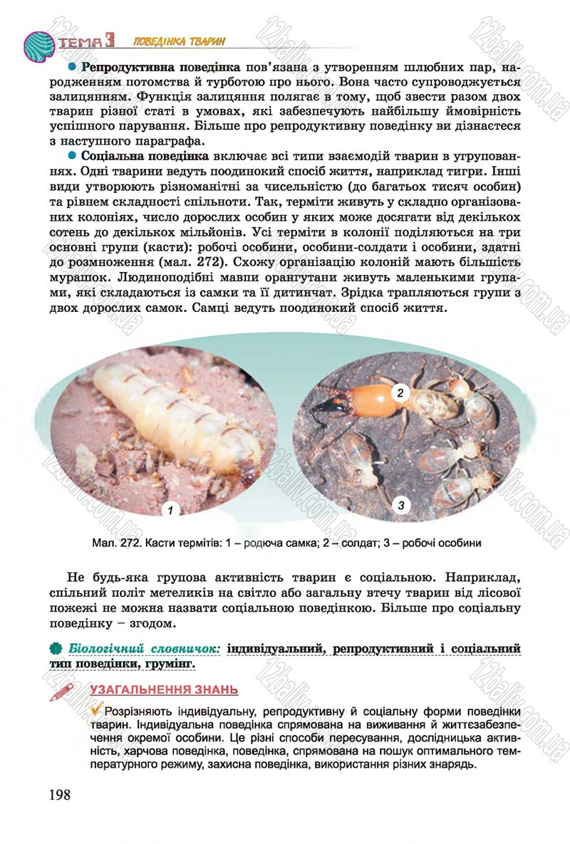 Сторінка 198 - Підручник Біологія 7 клас Остапченко 2015 - скачати онлайн