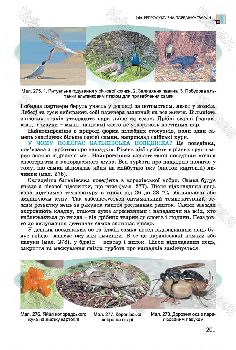 Сторінка 201 - Підручник Біологія 7 клас Остапченко 2015 - скачати онлайн