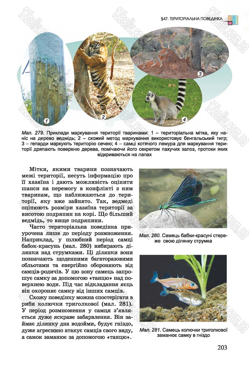 Сторінка 203 - Підручник Біологія 7 клас Остапченко 2015 - скачати онлайн