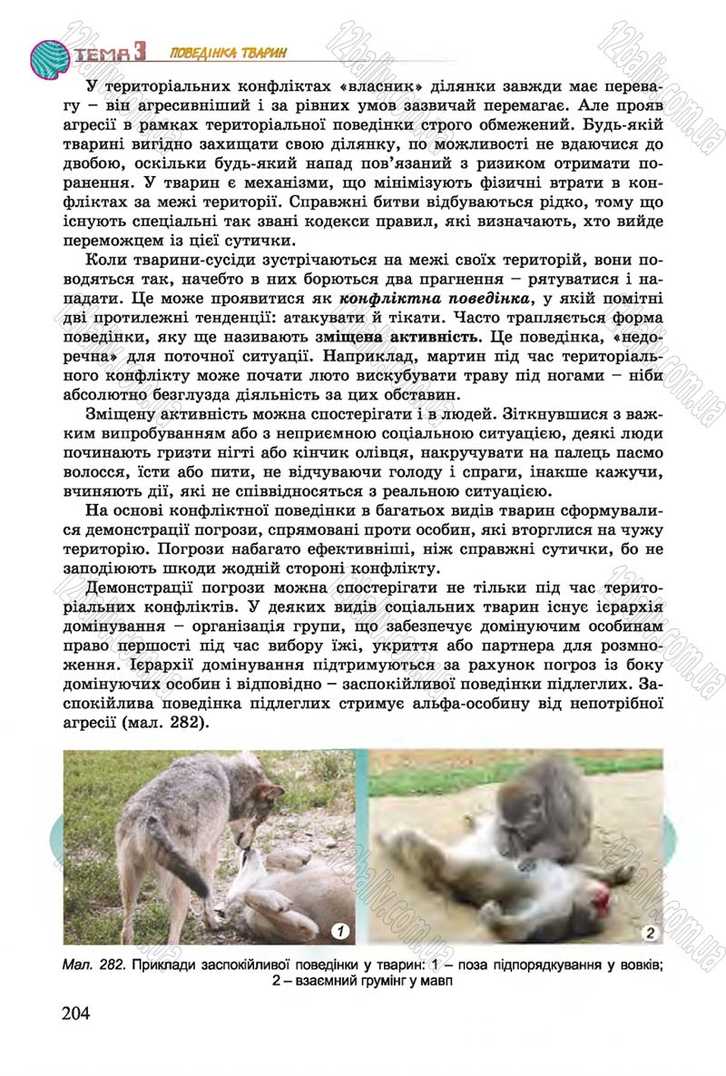 Сторінка 204 - Підручник Біологія 7 клас Остапченко 2015 - скачати онлайн
