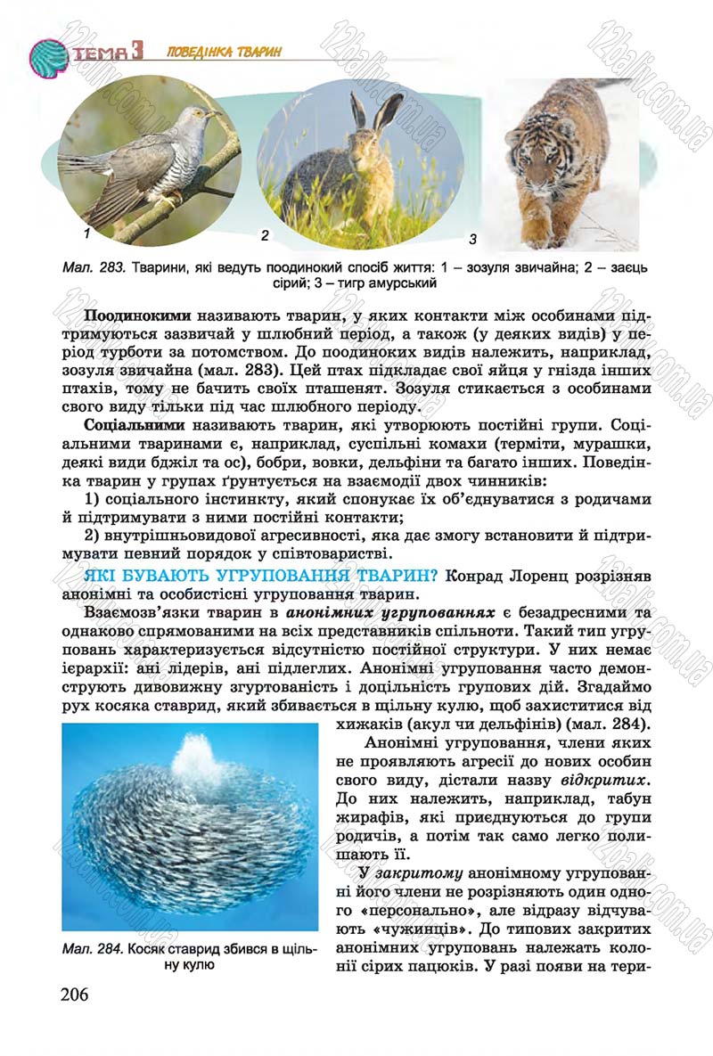 Сторінка 206 - Підручник Біологія 7 клас Остапченко 2015 - скачати онлайн