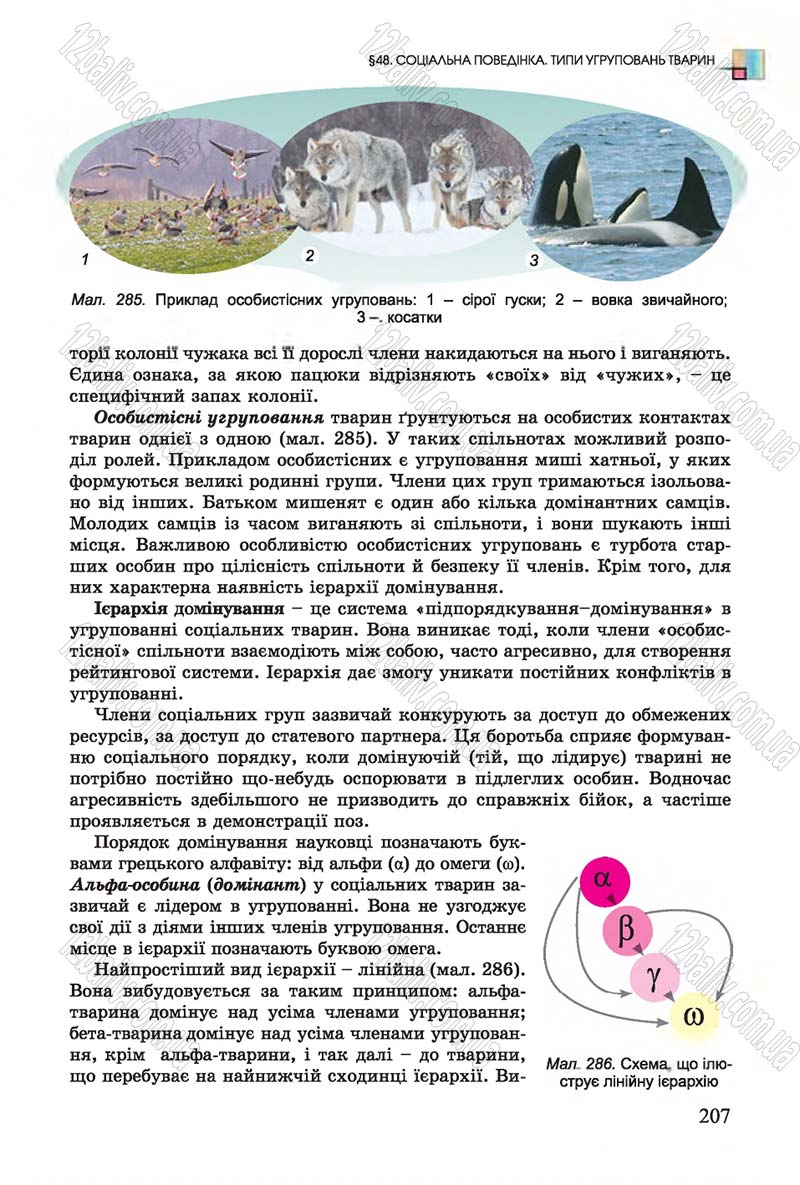 Сторінка 207 - Підручник Біологія 7 клас Остапченко 2015 - скачати онлайн