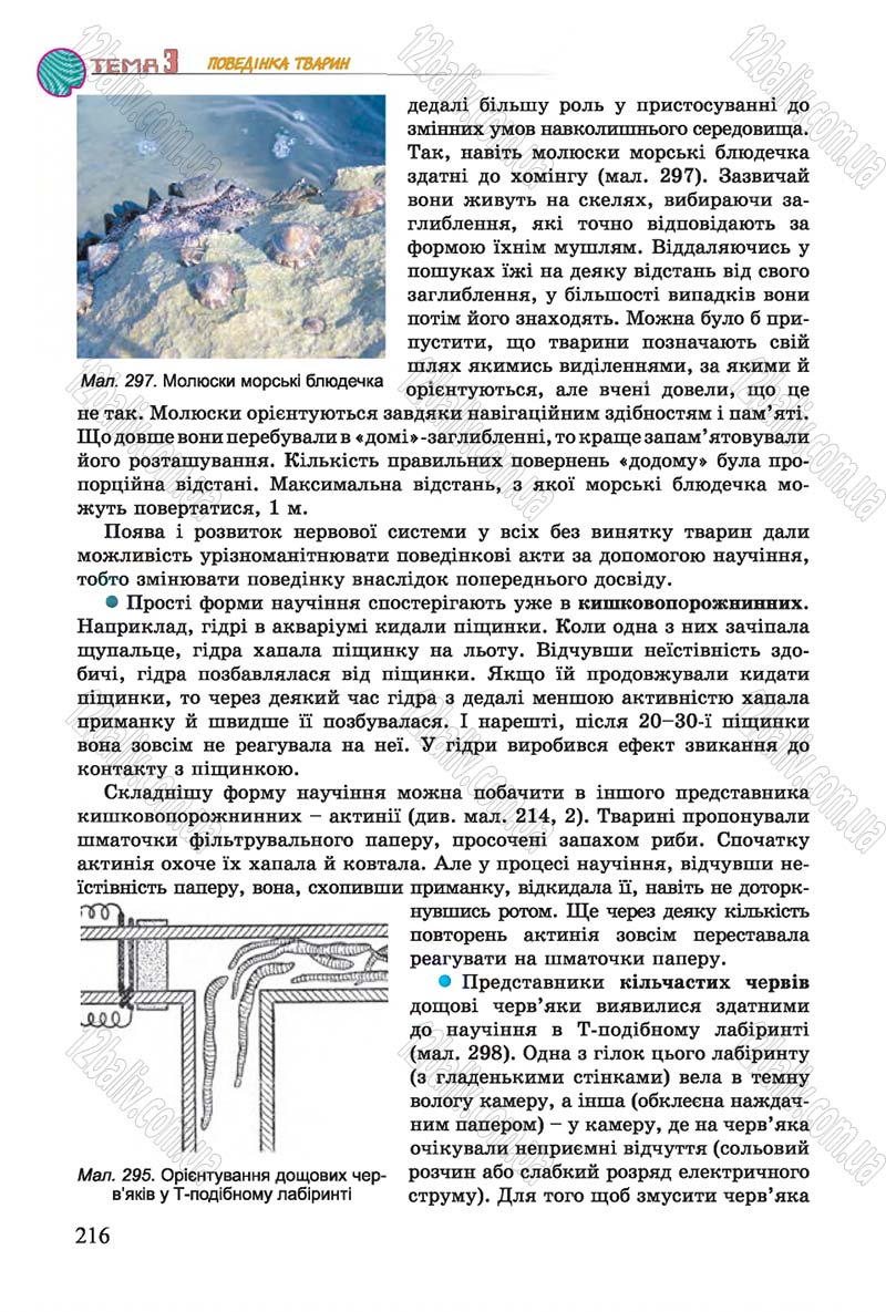 Сторінка 216 - Підручник Біологія 7 клас Остапченко 2015 - скачати онлайн