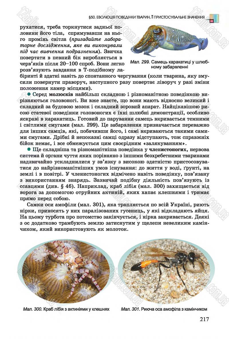 Сторінка 217 - Підручник Біологія 7 клас Остапченко 2015 - скачати онлайн