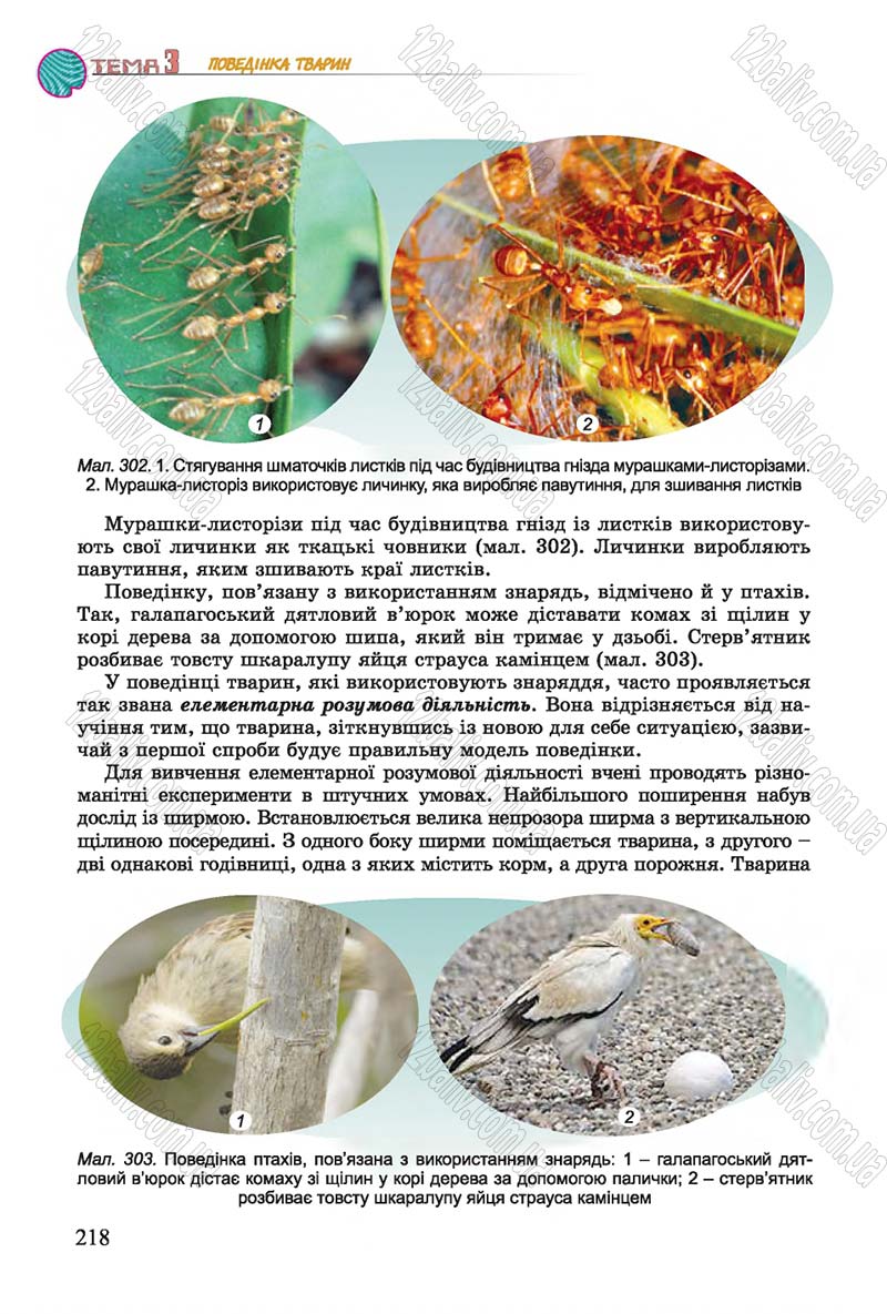 Сторінка 218 - Підручник Біологія 7 клас Остапченко 2015 - скачати онлайн