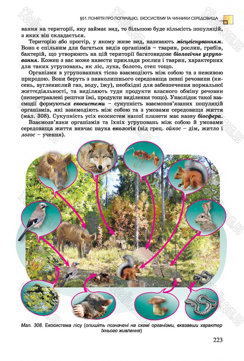 Сторінка 223 - Підручник Біологія 7 клас Остапченко 2015 - скачати онлайн
