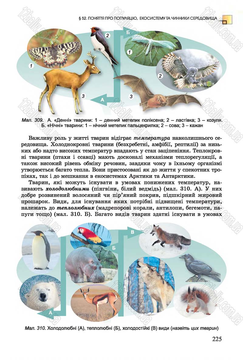 Сторінка 225 - Підручник Біологія 7 клас Остапченко 2015 - скачати онлайн