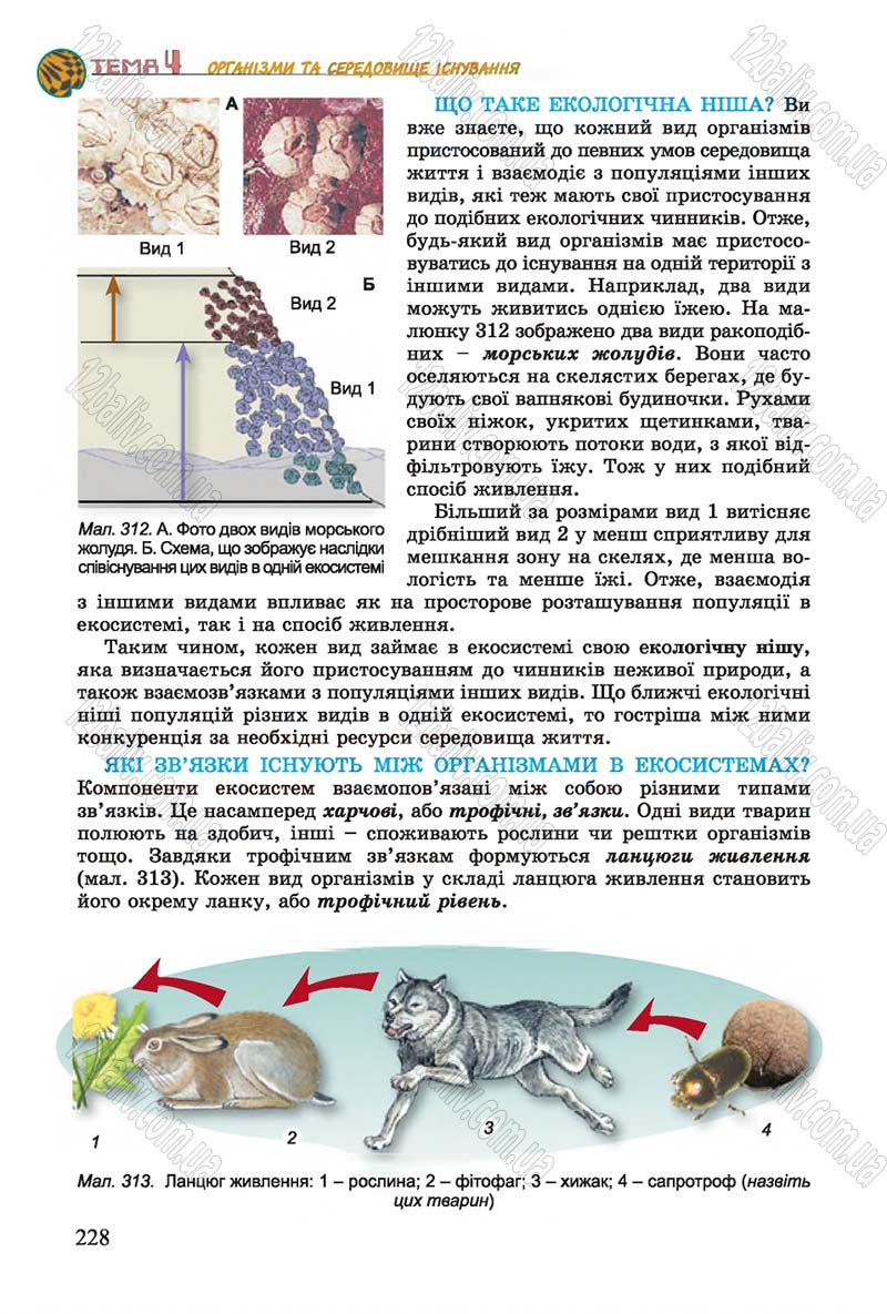 Сторінка 228 - Підручник Біологія 7 клас Остапченко 2015 - скачати онлайн