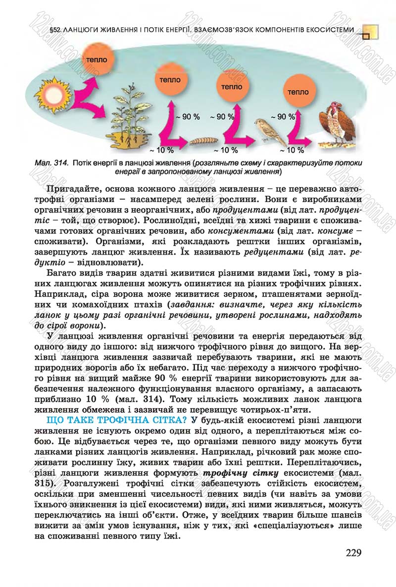 Сторінка 229 - Підручник Біологія 7 клас Остапченко 2015 - скачати онлайн