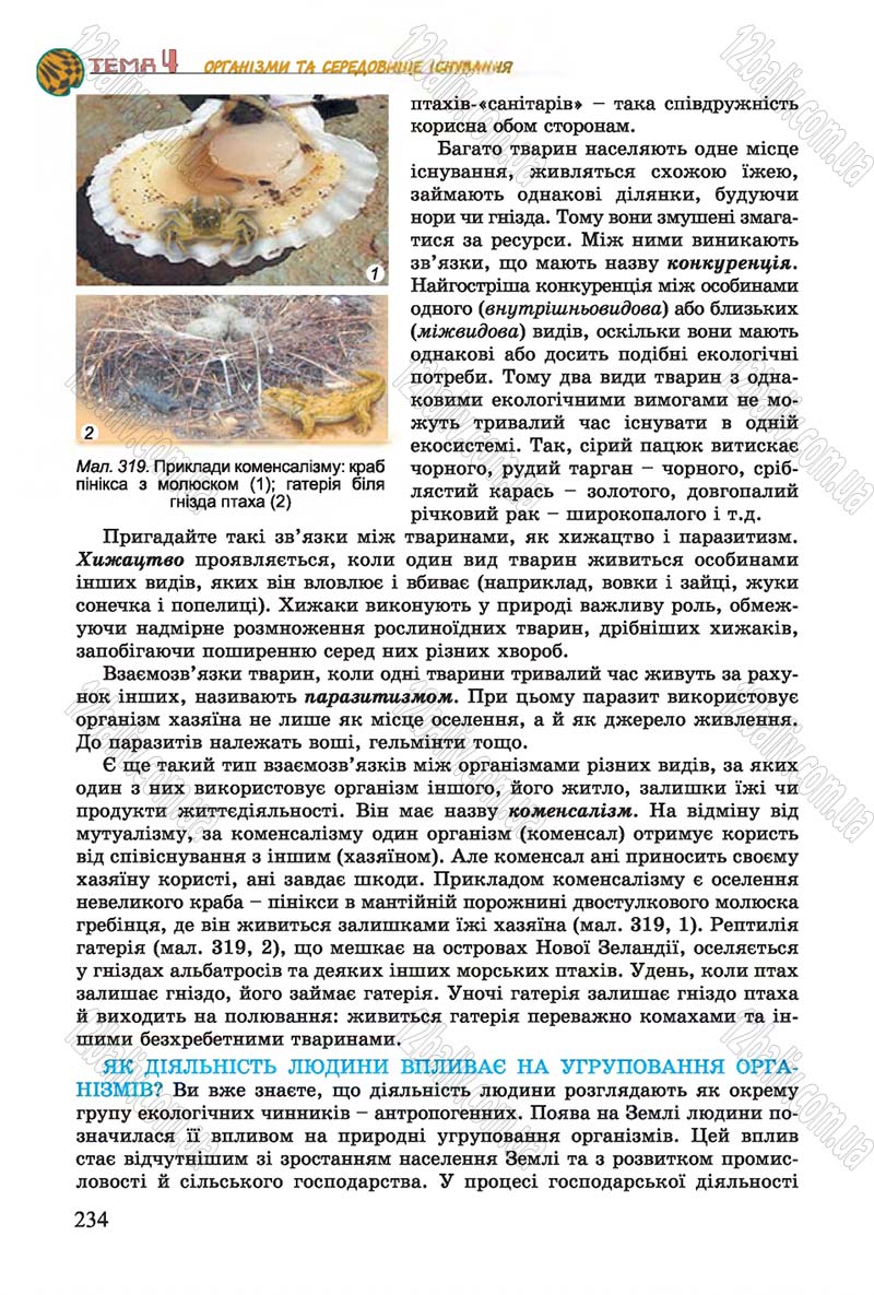 Сторінка 234 - Підручник Біологія 7 клас Остапченко 2015 - скачати онлайн