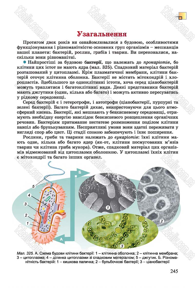 Сторінка 245 - Підручник Біологія 7 клас Остапченко 2015 - скачати онлайн