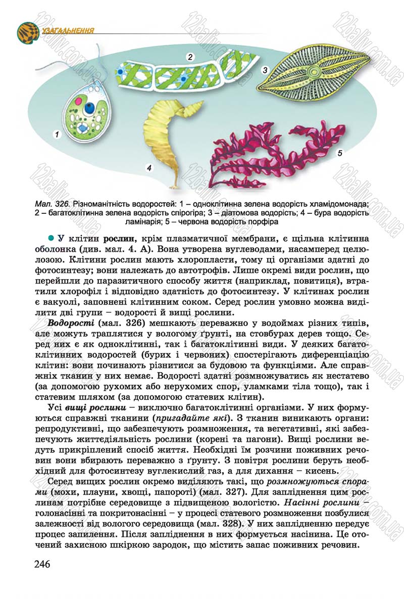 Сторінка 246 - Підручник Біологія 7 клас Остапченко 2015 - скачати онлайн