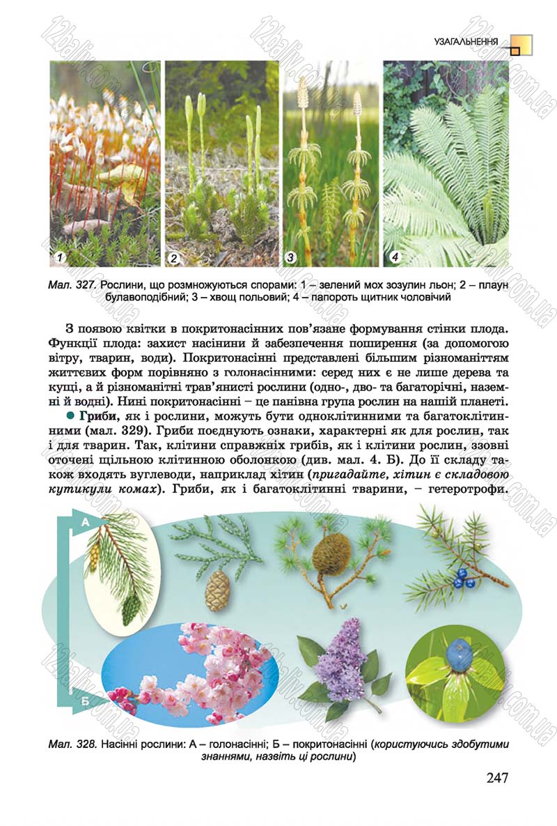 Сторінка 247 - Підручник Біологія 7 клас Остапченко 2015 - скачати онлайн
