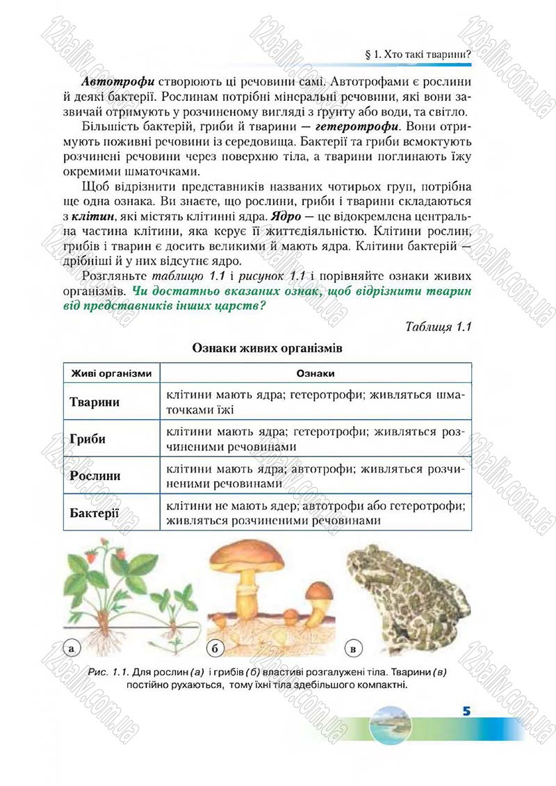 Сторінка 5 - Підручник Біологія 7 клас Д. А. Шабанов,  М. О. Кравченко 2015
