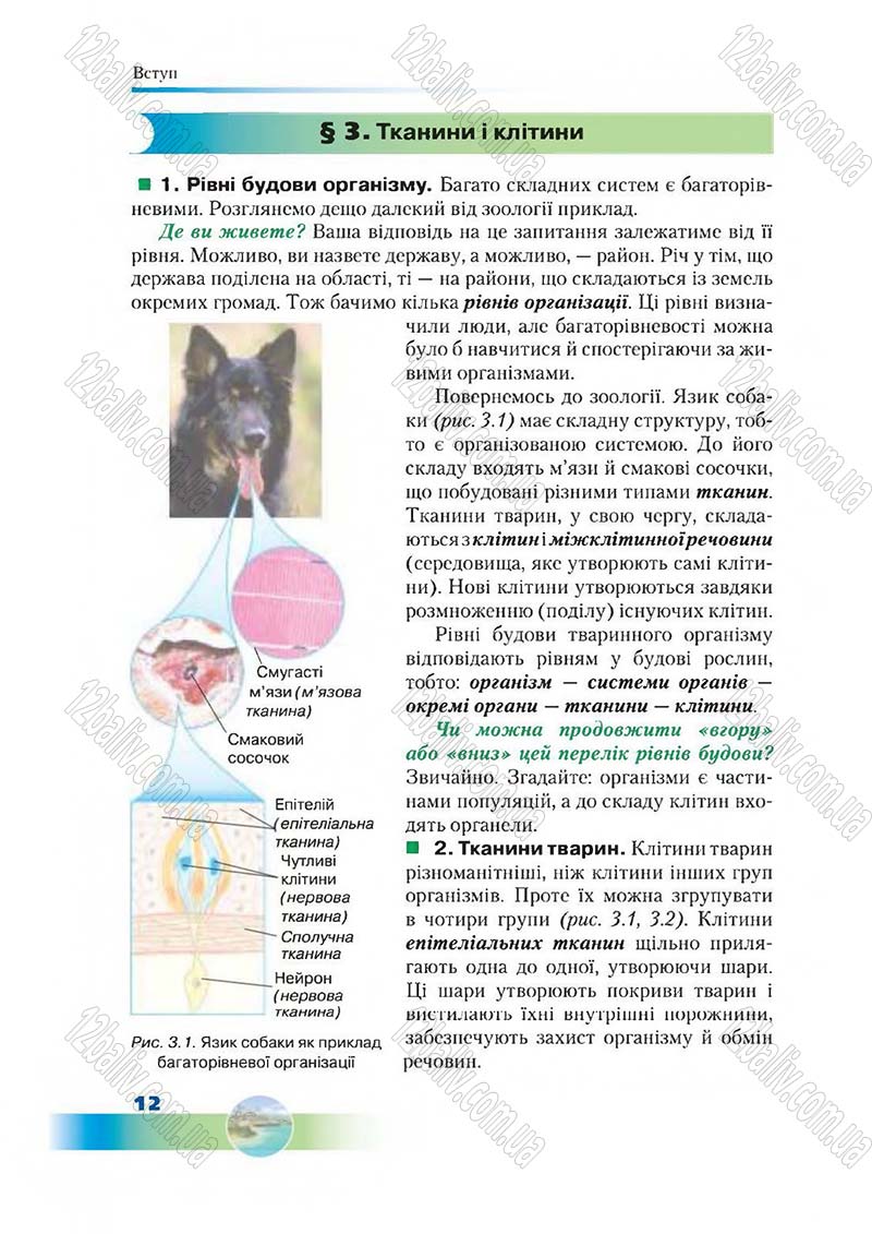 Сторінка 12 - Підручник Біологія 7 клас Д. А. Шабанов,  М. О. Кравченко 2015