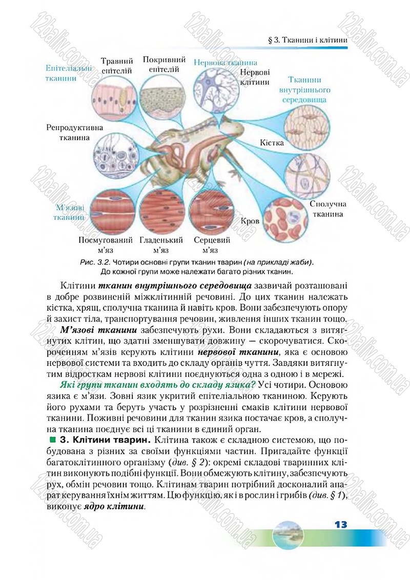 Сторінка 13 - Підручник Біологія 7 клас Д. А. Шабанов,  М. О. Кравченко 2015