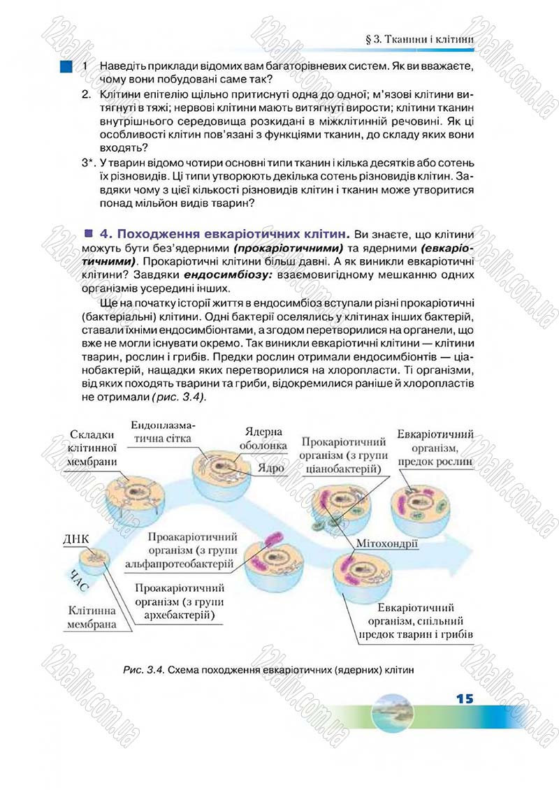 Сторінка 15 - Підручник Біологія 7 клас Д. А. Шабанов,  М. О. Кравченко 2015