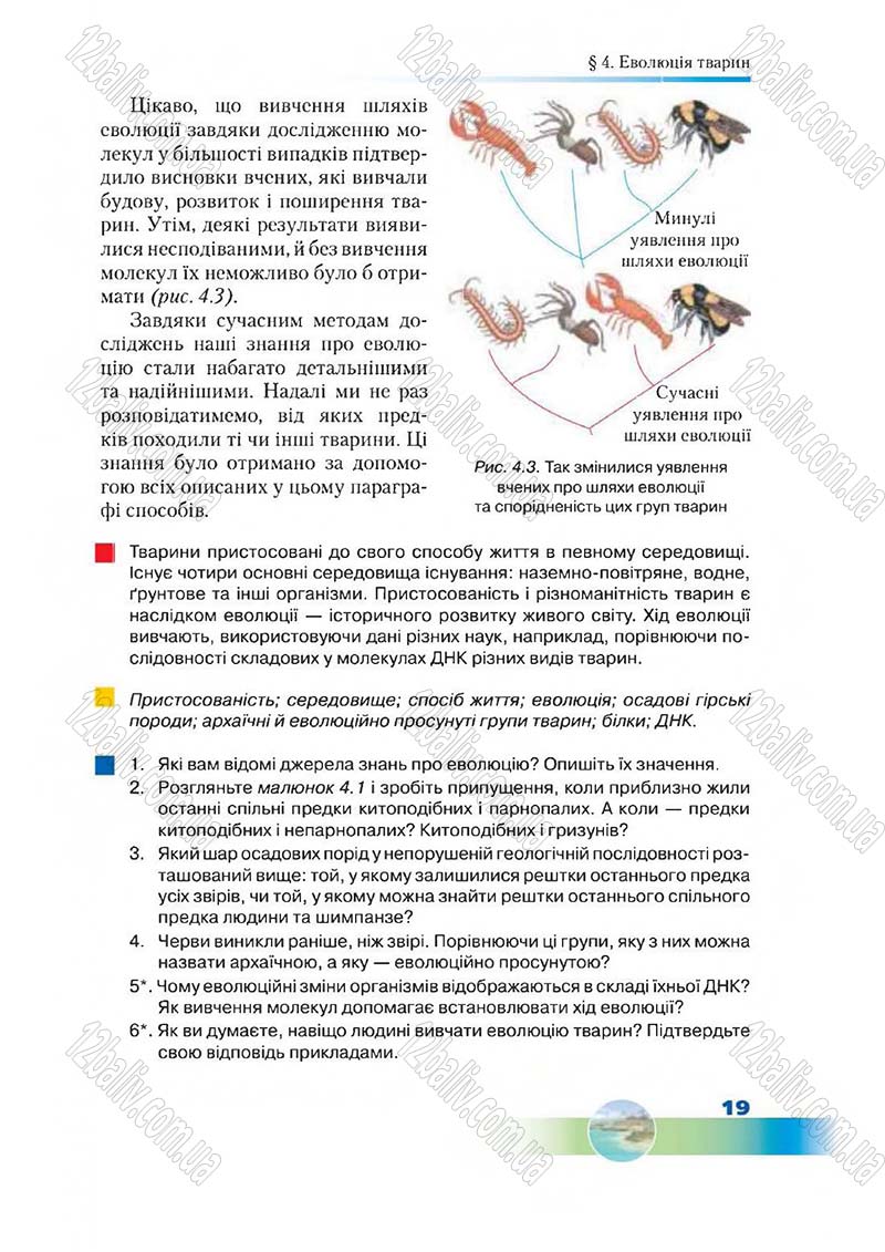 Сторінка 19 - Підручник Біологія 7 клас Д. А. Шабанов,  М. О. Кравченко 2015