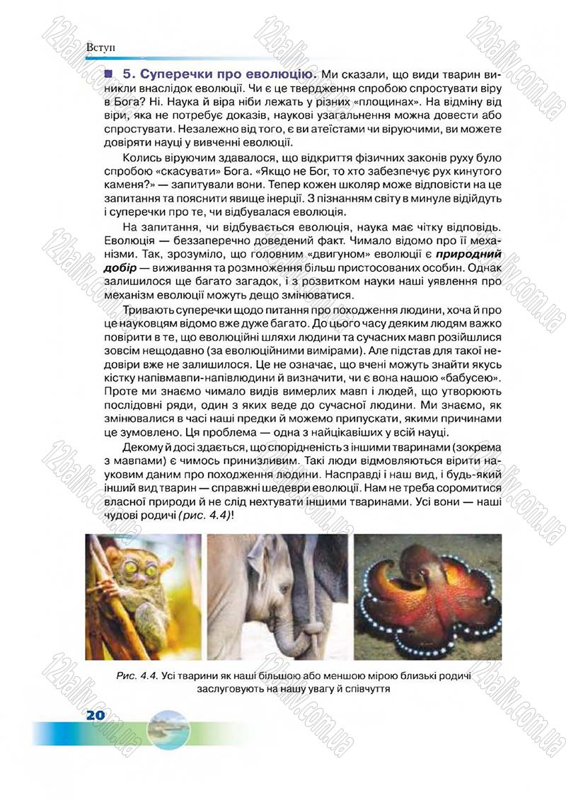 Сторінка 20 - Підручник Біологія 7 клас Д. А. Шабанов,  М. О. Кравченко 2015