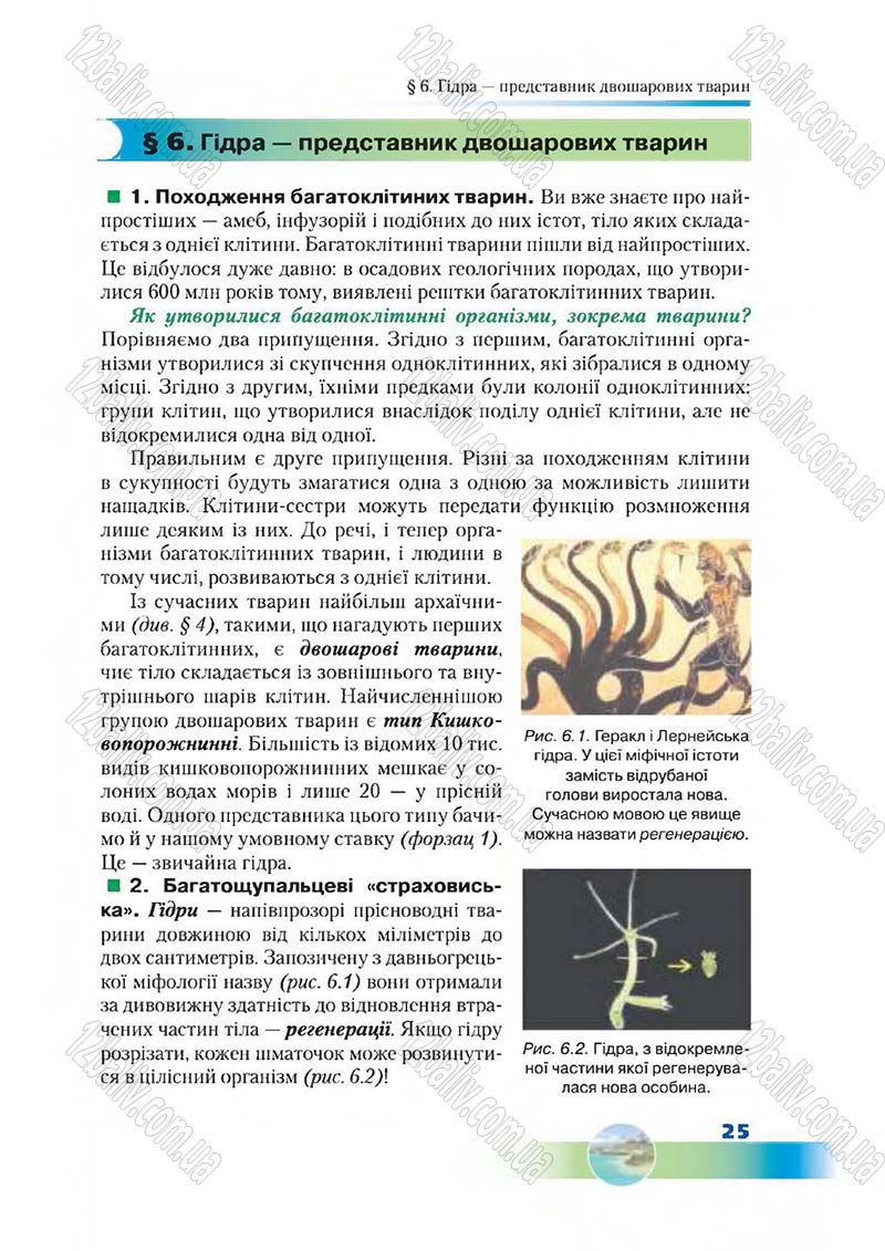 Сторінка 25 - Підручник Біологія 7 клас Д. А. Шабанов,  М. О. Кравченко 2015