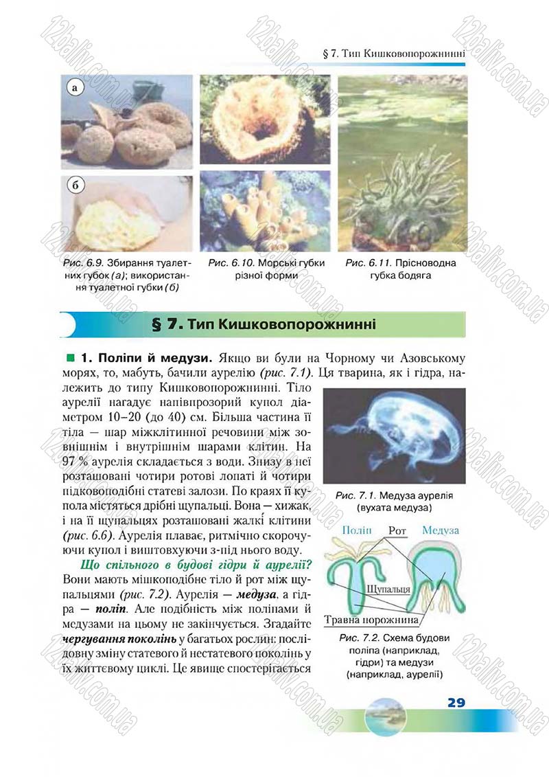 Сторінка 29 - Підручник Біологія 7 клас Д. А. Шабанов,  М. О. Кравченко 2015
