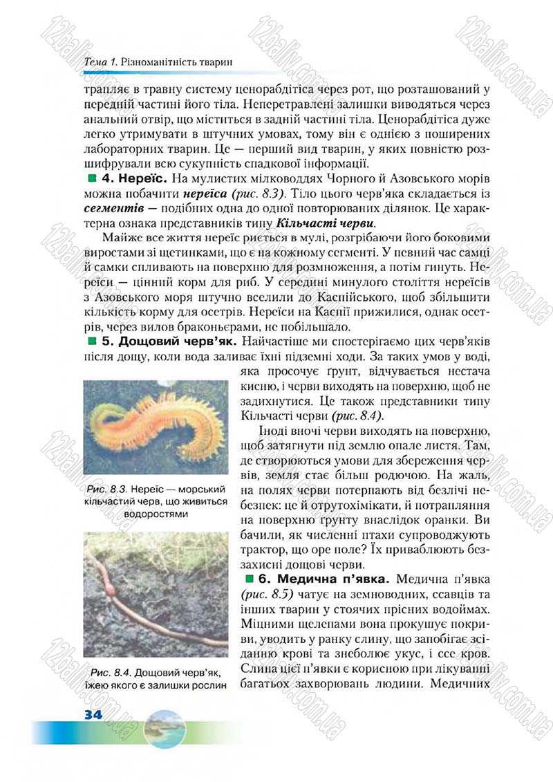 Сторінка 34 - Підручник Біологія 7 клас Д. А. Шабанов,  М. О. Кравченко 2015