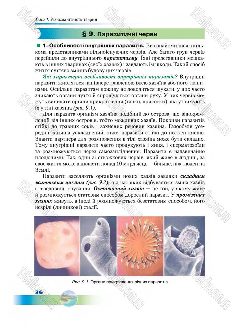 Сторінка 36 - Підручник Біологія 7 клас Д. А. Шабанов,  М. О. Кравченко 2015