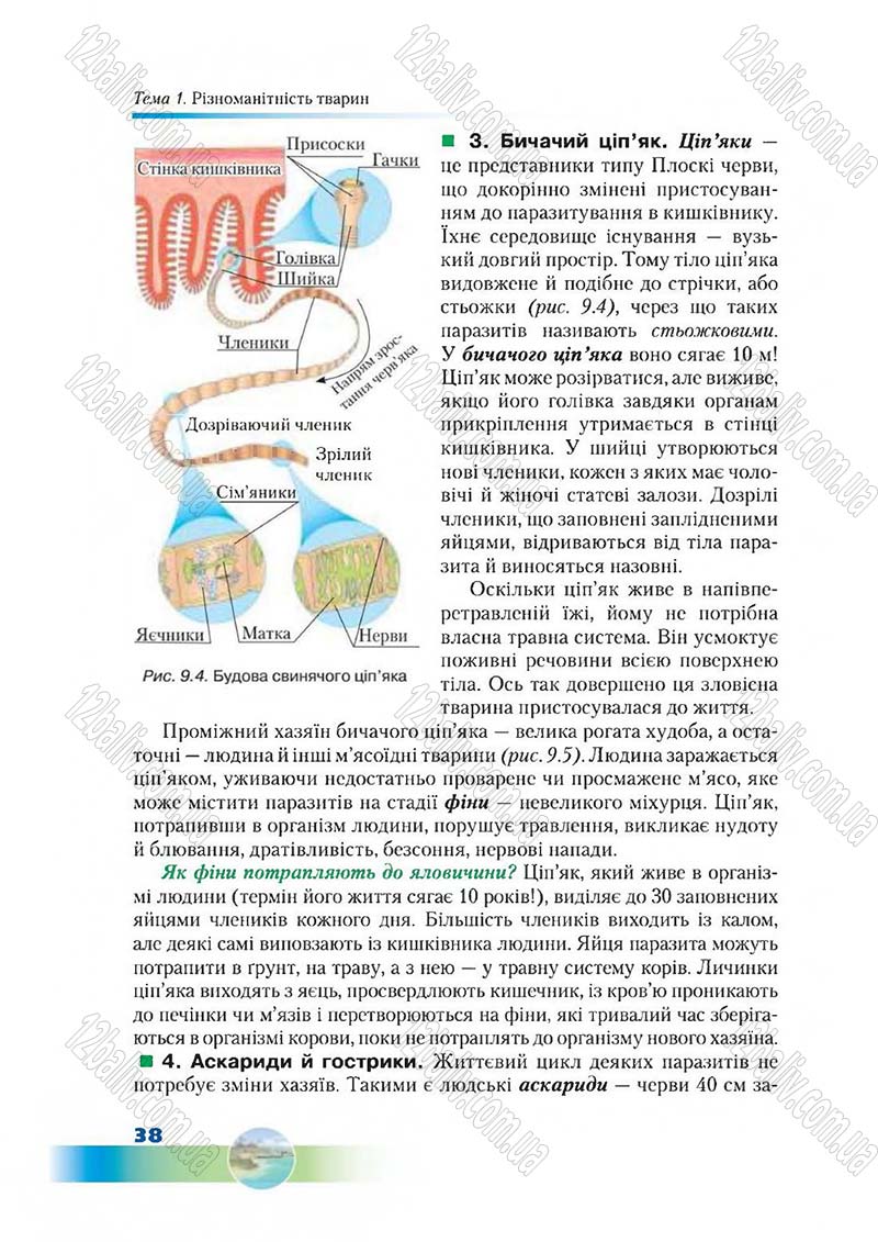Сторінка 38 - Підручник Біологія 7 клас Д. А. Шабанов,  М. О. Кравченко 2015
