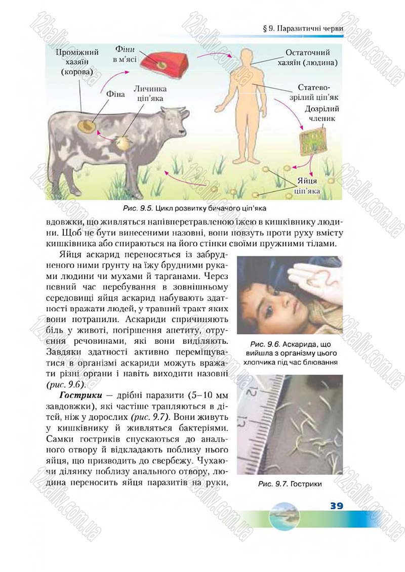 Сторінка 39 - Підручник Біологія 7 клас Д. А. Шабанов,  М. О. Кравченко 2015